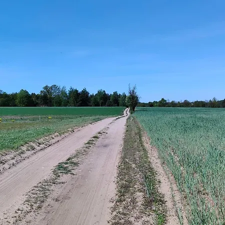 Malinowka Kruczy Borek