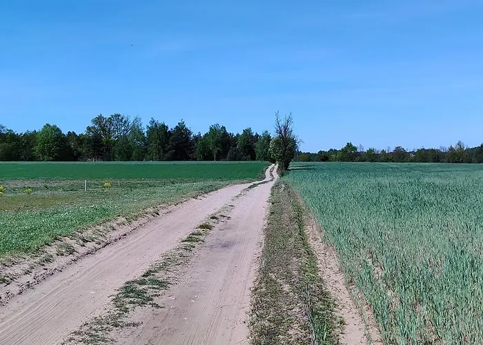 Malinowka Kruczy Borek